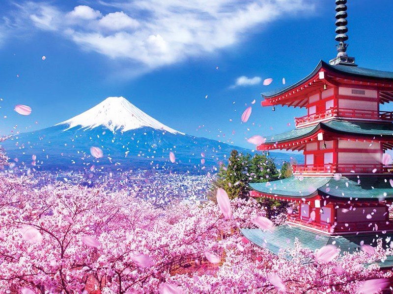 Nhật Bản Hokkaido - Miền tuyết trắng | Hà Nội/HCM - Sounkyo - Mombetsu - Asahikawa - Sapporo - Otaru