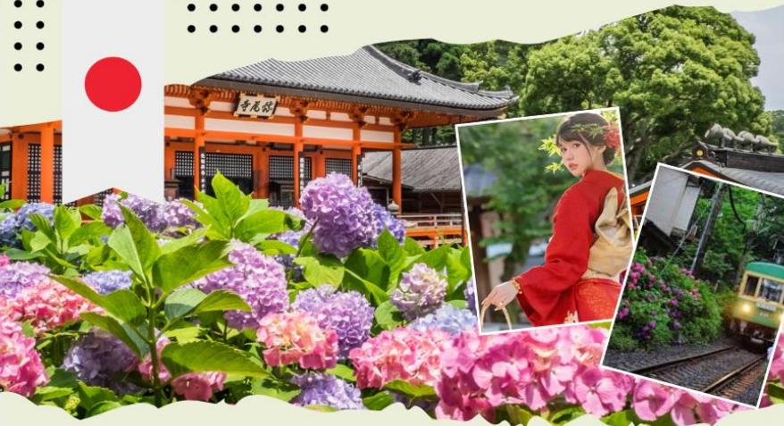 Tour du lịch Nhật Bản 5N4Đ - Cung đường vàng mùa hè Hà Nội - Tokyo - Phú Sĩ - Kyoto - Osaka NOSHOPPING